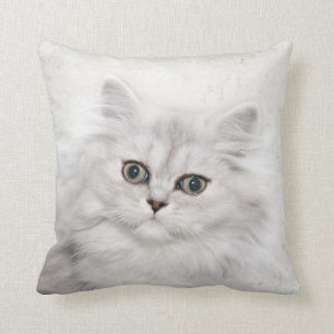 Coussin Visage persan de chaton