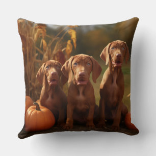 Coussin Vizsla chiot Automne Délice Citrouille
