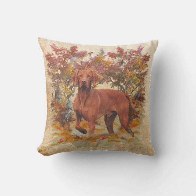 Coussin Vizsla hongroise (Recto)