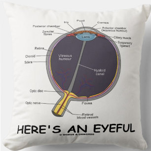 Coussin Voici un oeil attentif (Humour d'anatomie des yeux