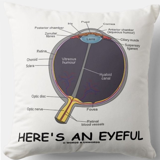 Coussin Voici un oeil attentif (Humour d'anatomie des yeux (Throw pillow featuring human eye anatomy along with the caption "Here's An Eyeful")
