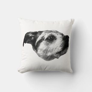 Coussin Voie Citrouille calme — Terrier