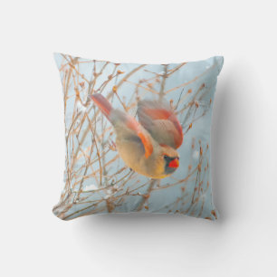Coussin Vol Cardinal Nord - Photo originale