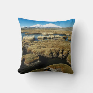 Coussin Volcans Payachalas