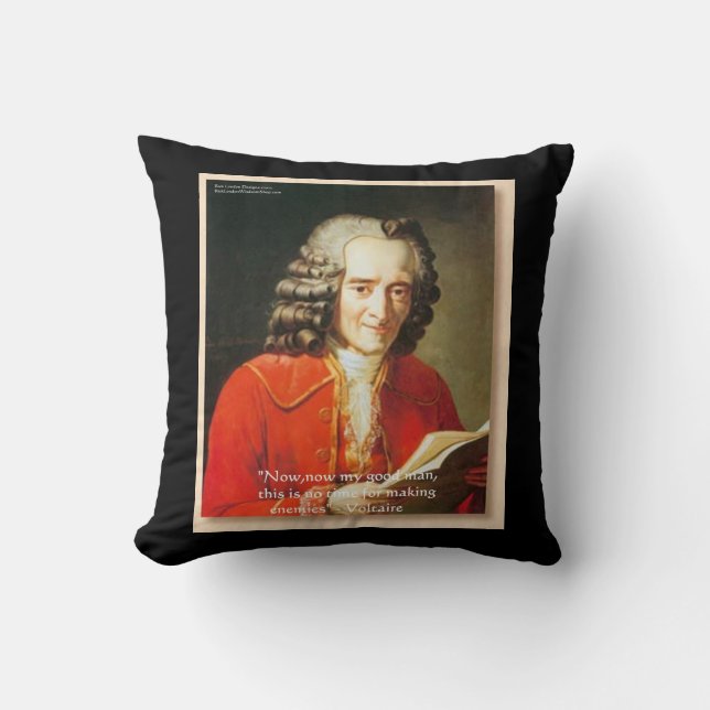 Coussin Voltaire "Faire des ennemis" Citation Rickshaw Lan (Recto)