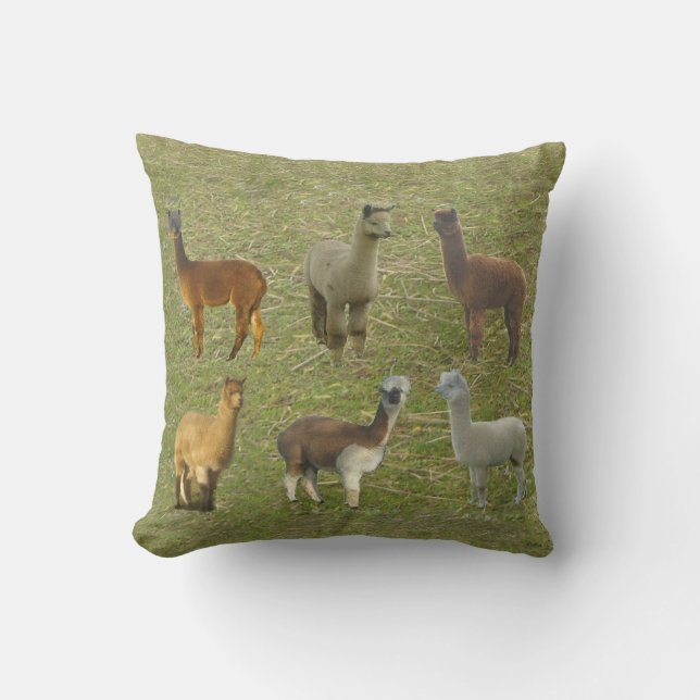 Coussin Vous avez des Alpacas ? (Recto)