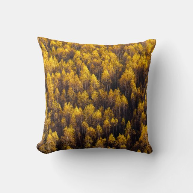 COUSSIN VUE AÉRIENNE DE LA FORÊT (Recto)