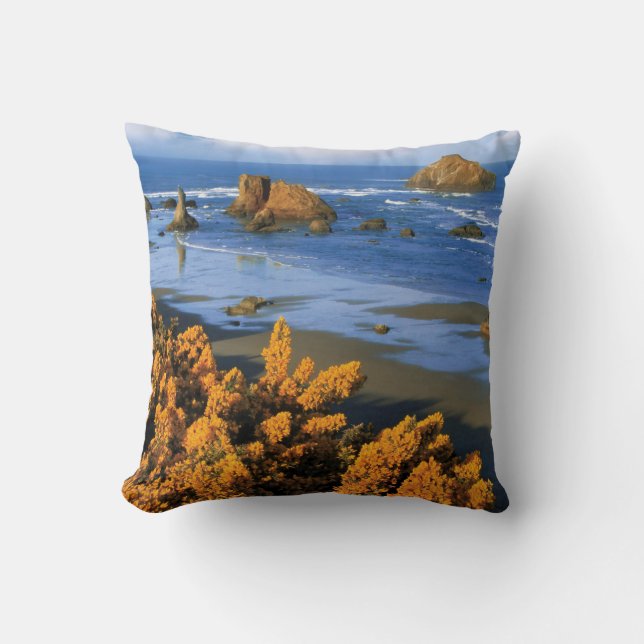 Coussin Vue Sur La Plage De L'Oregon À Bandon (Recto)