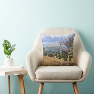 COUSSIN VUES DU PAYS DE GALLES