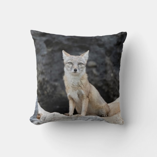 Coussin Vulpes corsac (Recto)