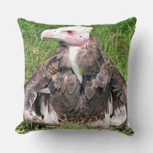 COUSSIN VULTURE