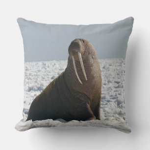 Coussin Walrus