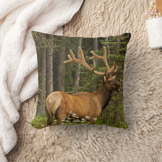 Coussin Wapiti mâle en velours, Canada (Couverture)