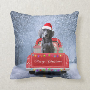 Coussin Weimaraner Chien en neige assis sur le camion de N