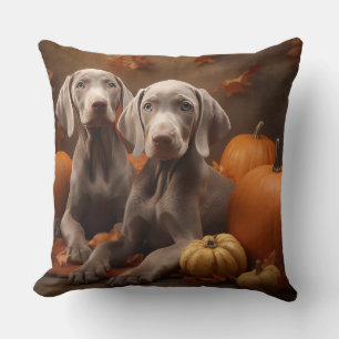 Coussin Weimaraner Chiot Automne Citrouille délice