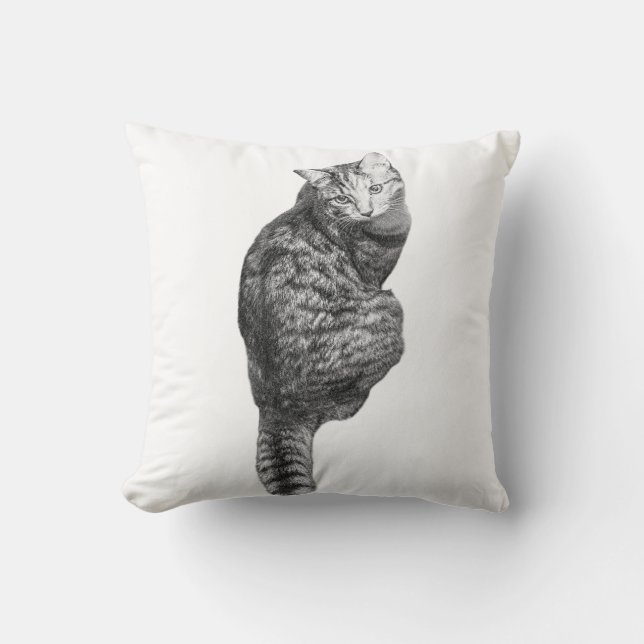 Coussin Whiskers citrouille (Recto)