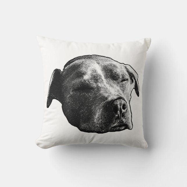 Coussin Whisper Hearth (Recto)