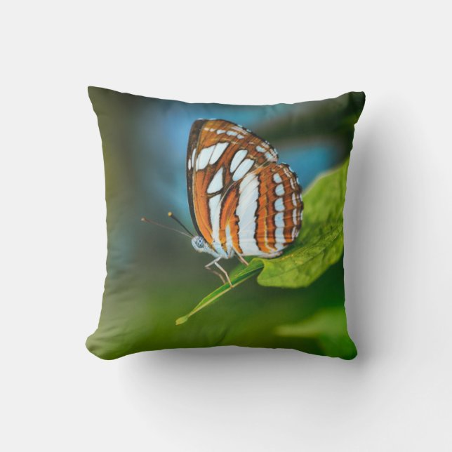Coussin White and Orange Striped Butterfly (Recto)