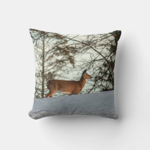 Coussin White Tailed