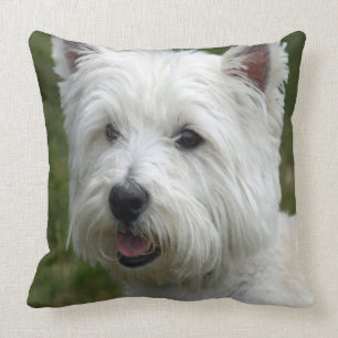 Coussin WHiTE WeST HiGHLaND TeRRer
