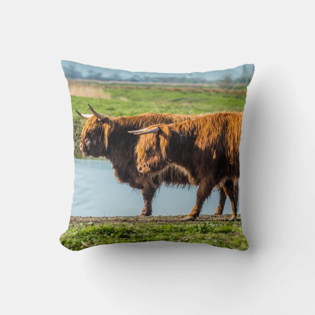 Coussin Wicken Fen cattle (Recto)