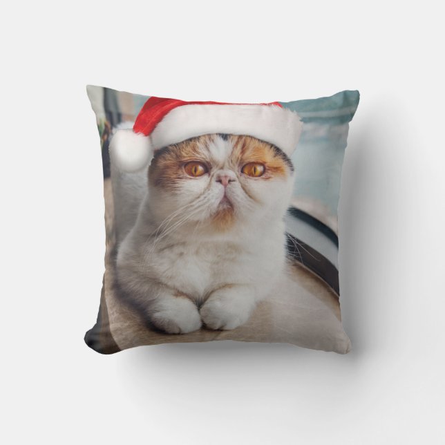 Coussin Wonderful persian cat with Santa Claus (Recto)