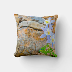 Coussin Wyoming, parc national de Grand Teton 1