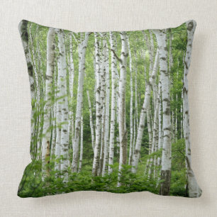 Coussin Yakumo-Mura, préfecture de Nagano, Honshu central