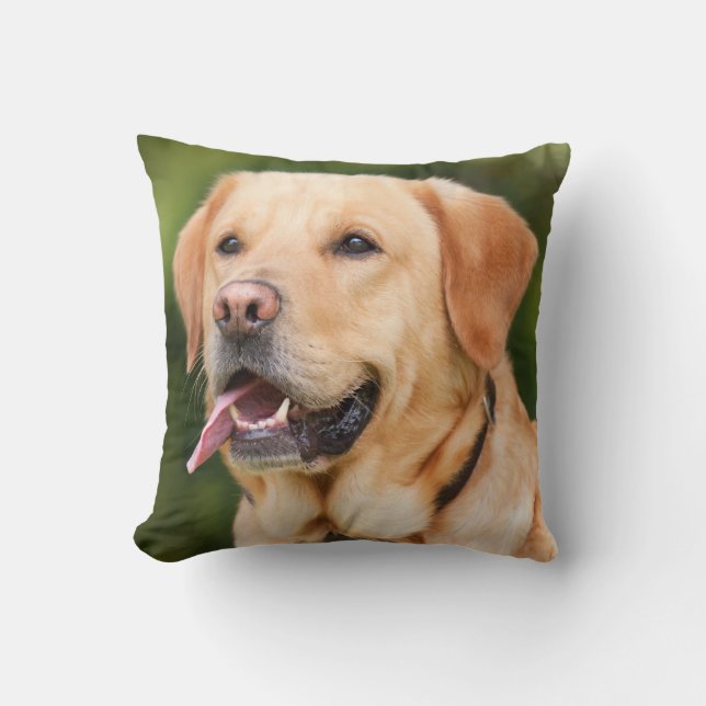 Coussin Yellow Labrador Retriever Dog - Lab (Recto)