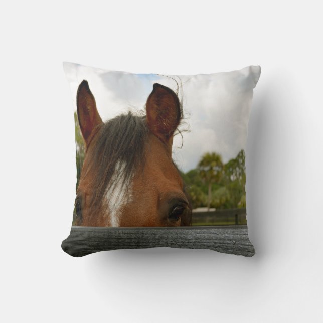Coussin yeux au-dessus de tête de cheval de barrière (Recto)