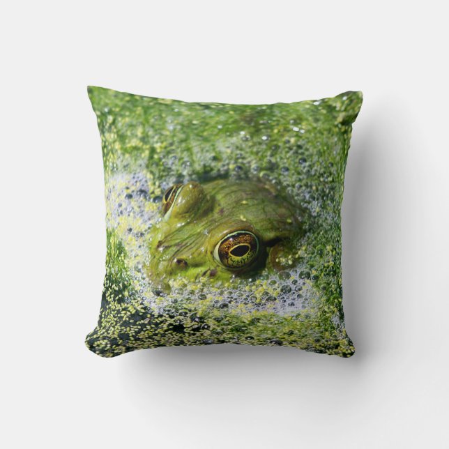 Coussin Yeux de grenouille (Recto)