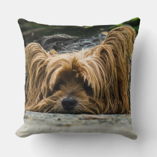 Coussin Yorkshire Closeup