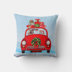 Coussin Yorkshire Terrier Chien dans une voiture avec le P