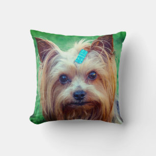 Coussin Yorkshire Terrier Yorkie race préférée