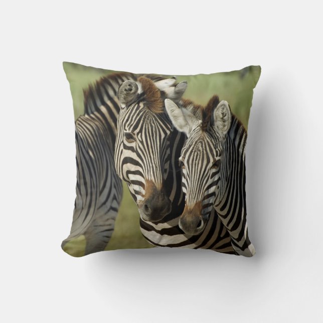 COUSSIN ZEBRA DOUBLE IMAGE (Recto)
