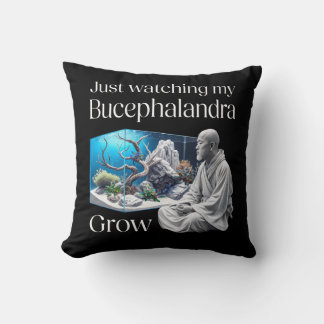 Coussin Zen and Bucephalandra