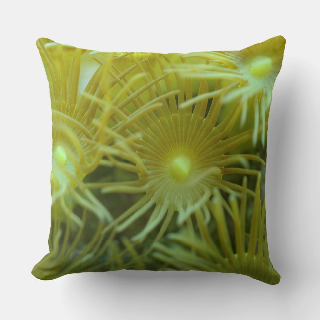 Coussin Zoanthid/coussin jaune de coraux de polype (Recto)