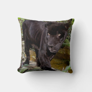 Coussin Zoo de la ville de Belize. Panthère noire