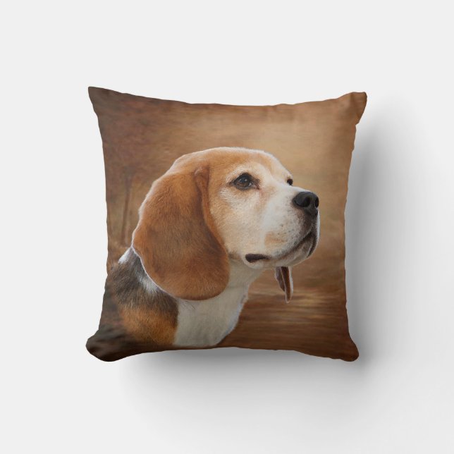 Coussins de BEAGLE (Recto)