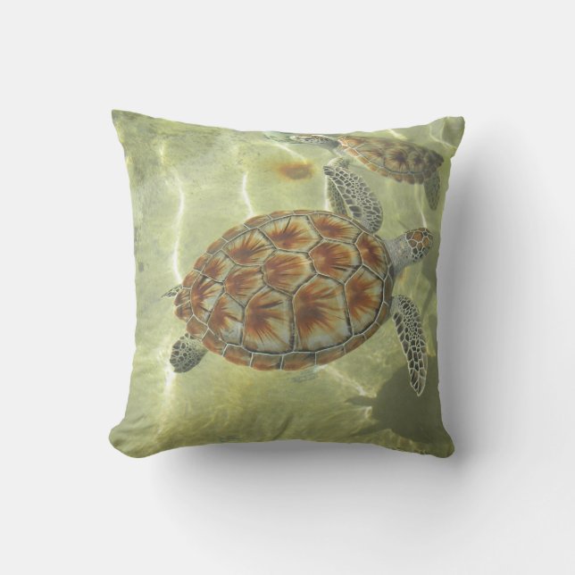 Coussins de tortue (Recto)