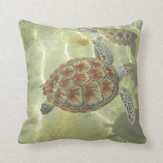Coussins de tortue