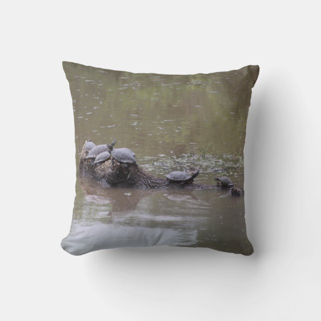 Coussins de tortues (Recto)