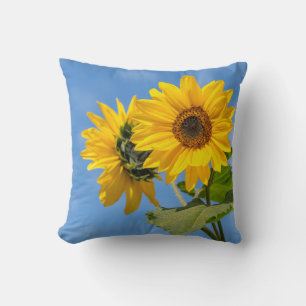 coussins de tournesol