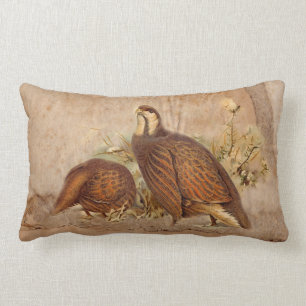 Coussins de Turkie
