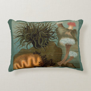 Coussins Décoratifs 19e century print sea anemones
