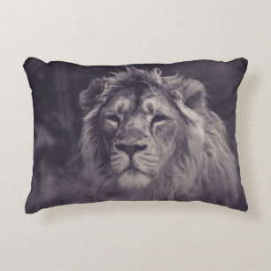 COUSSINS DÉCORATIFS A BEAUTIFUL LION AT PARKEN ZOO SWEDEN