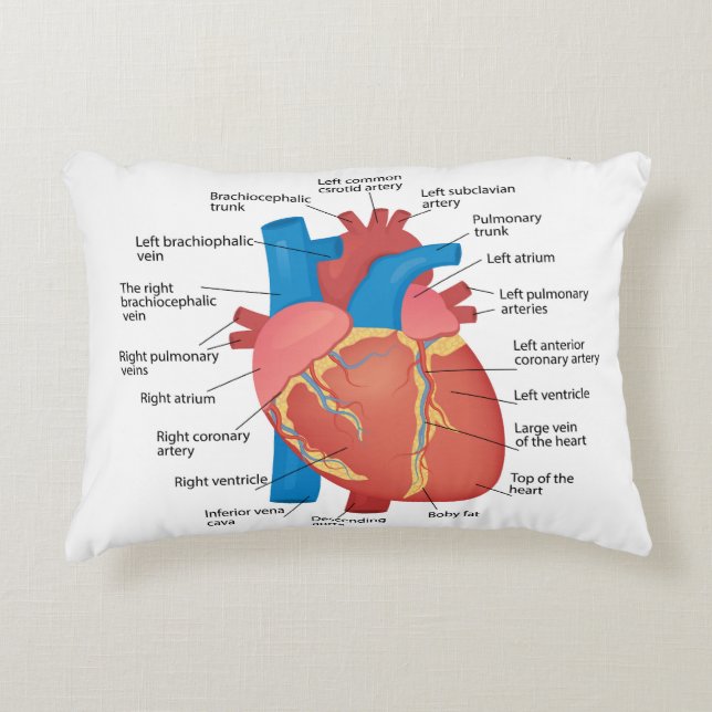 Coussins Décoratifs Anatomie du coeur humain (Devant)