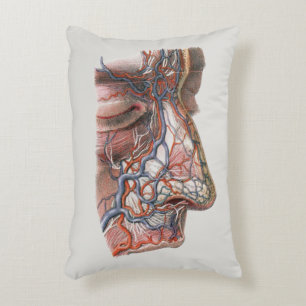 Coussins Décoratifs Anatomie humaine de la science vintage, visage ave