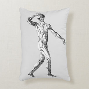 Coussins Décoratifs Anatomie humaine vintage, Muscles du corps masculi