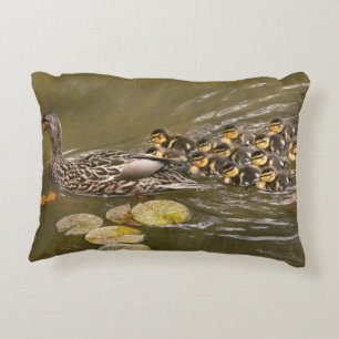 Coussins Décoratifs Animal - Ducks - Swim like a duck